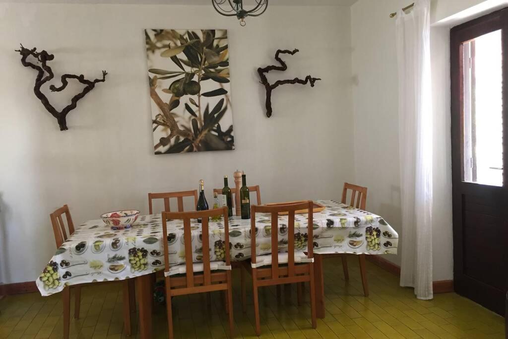 Whole Villa In Primošten المظهر الخارجي الصورة